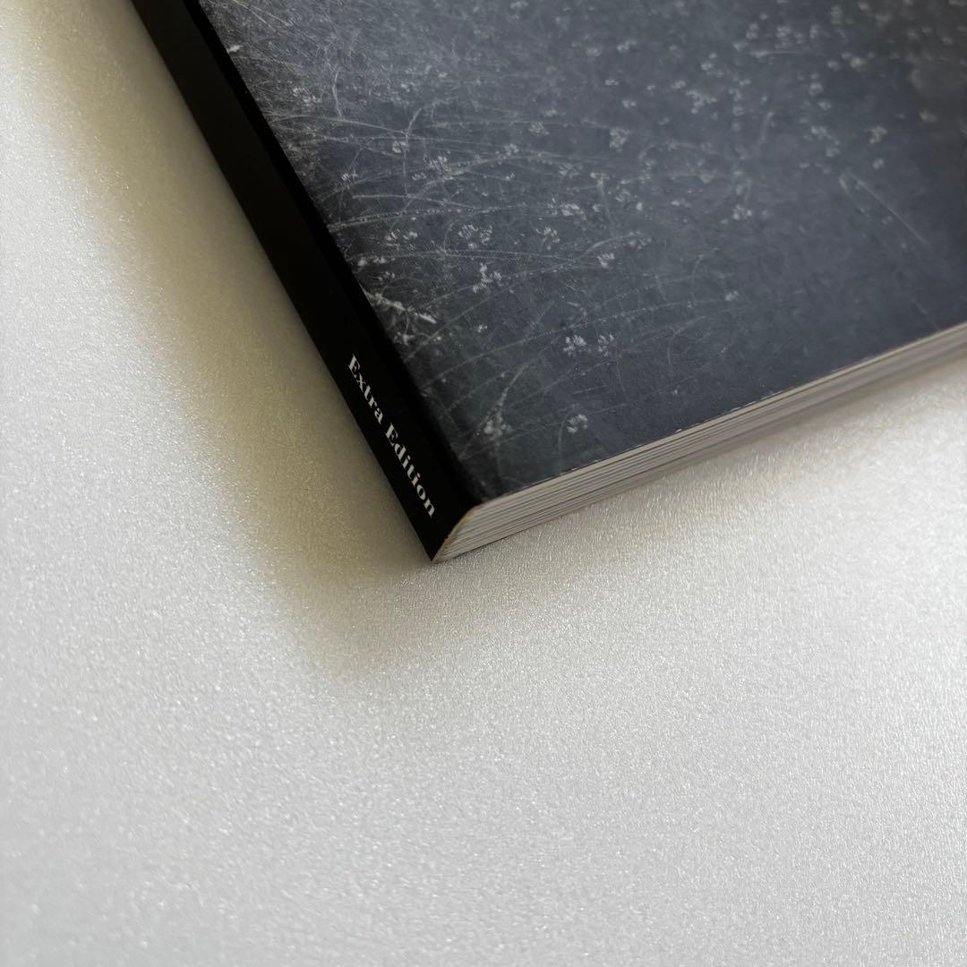 a+u 1998年2月号臨時増刊　ピーター・ズントー