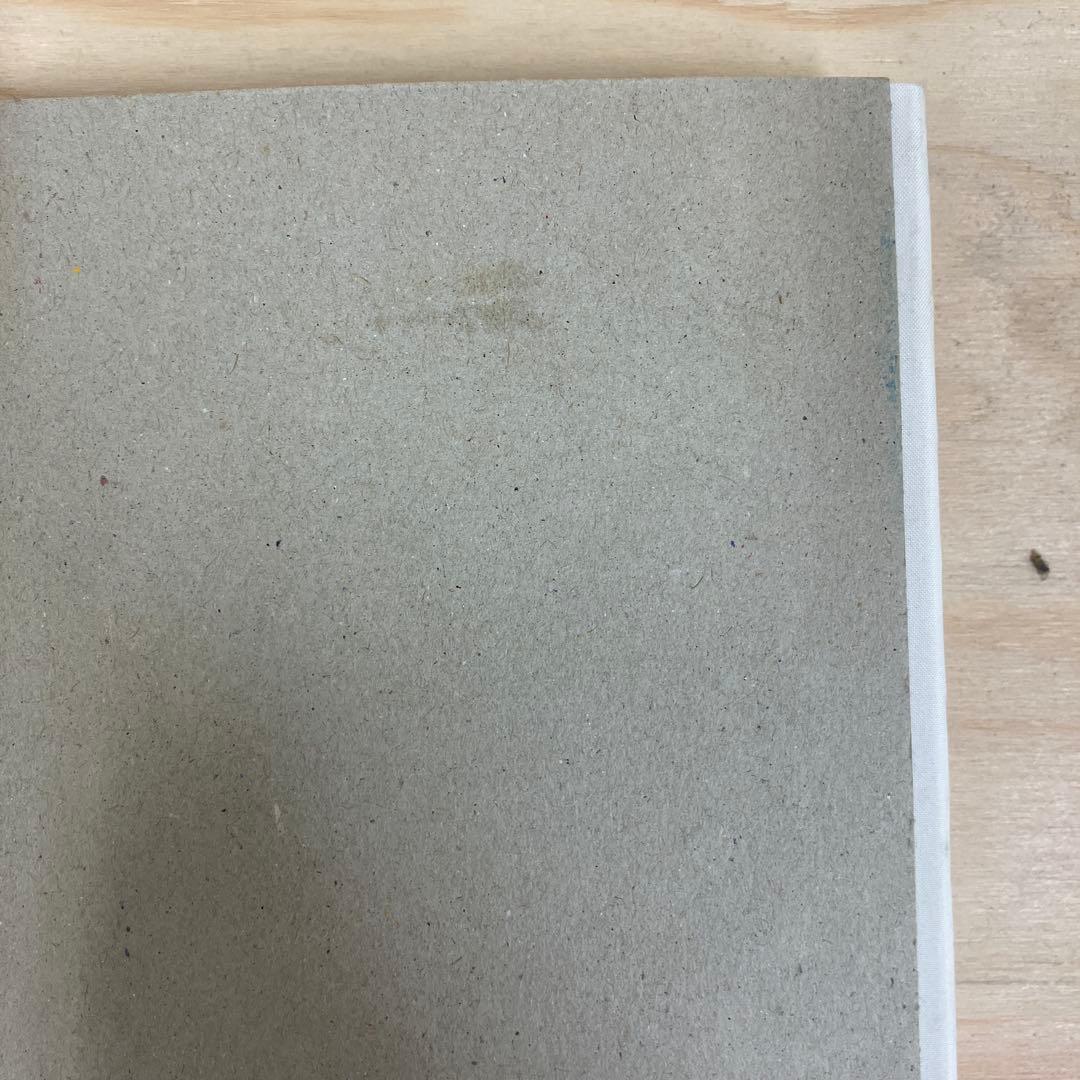 Mark Borthwick 写真集　not in fashion