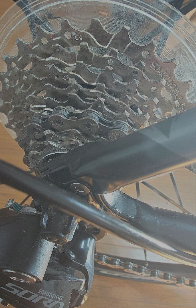 FUJI ロードバイク NAOMI Matte Black 46cm フジ