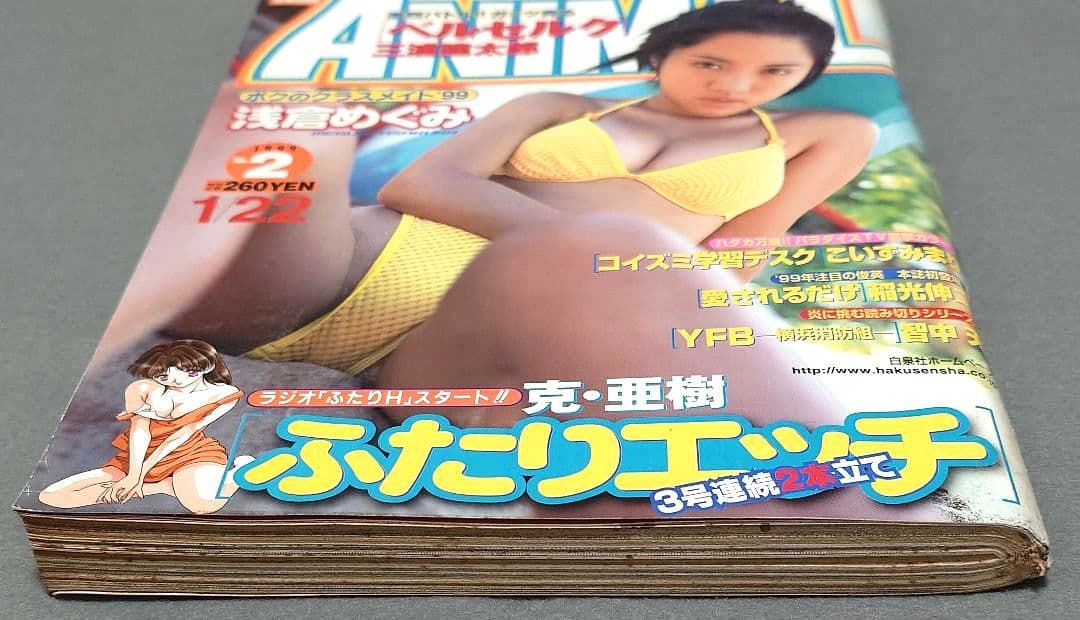 ヤングアニマル1999年2号ベルセルク第134話/浅倉めぐみ表紙&水着グラビア