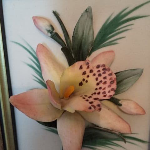 コレクション CAPODIMONTE