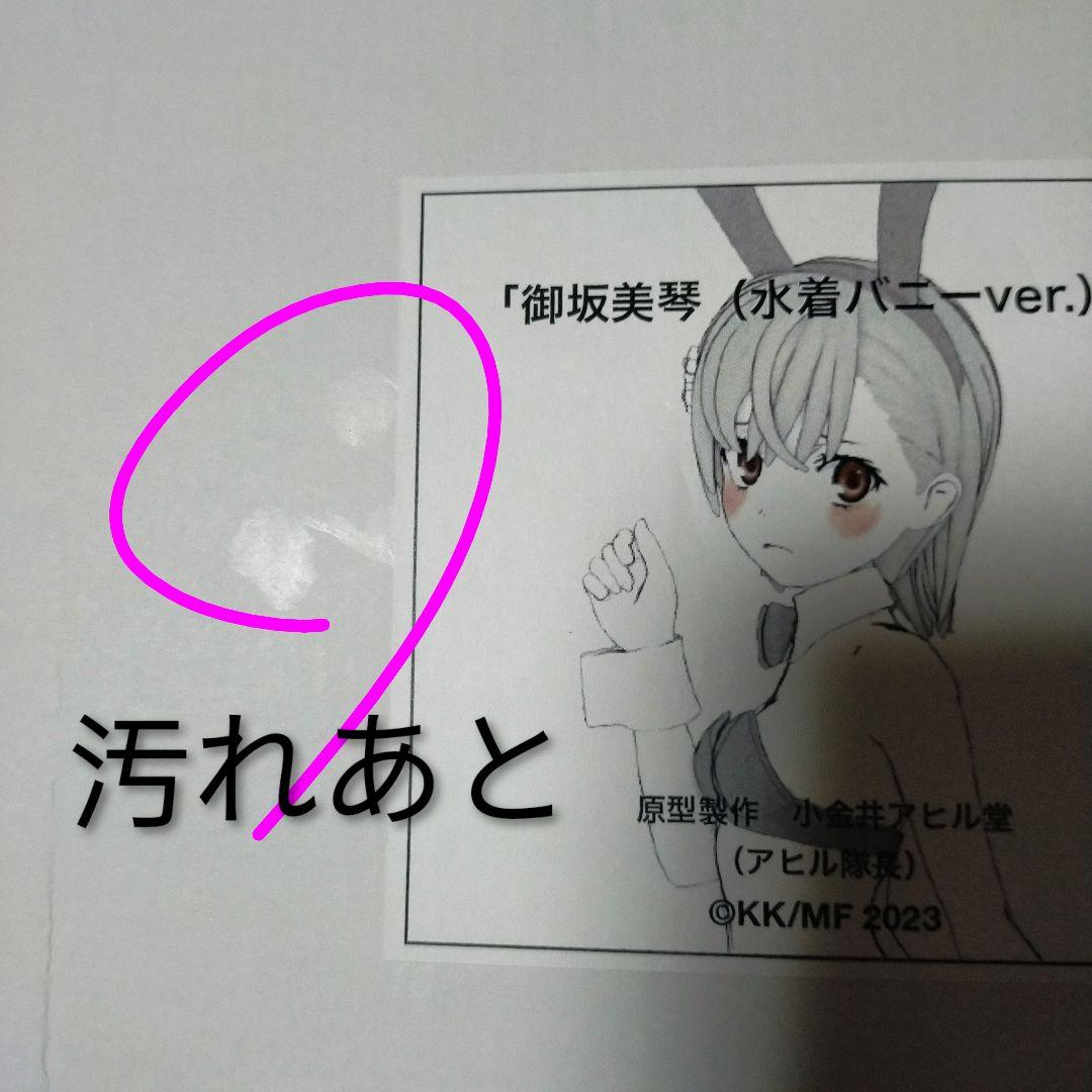 御坂美琴　水着バニーver ガレージキット　レジンキャストキット　フィギュア