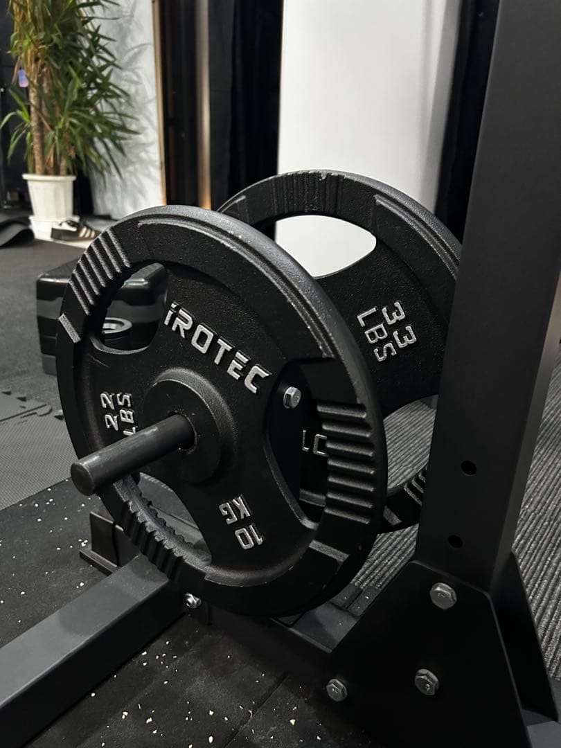 たま　IROTEC ダンベルプレート 10kg 15kg 33lbs