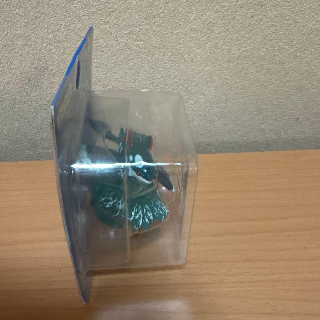 ポケモン　モンスターコレクション　モンコレ　カイオーガ　劇場限定