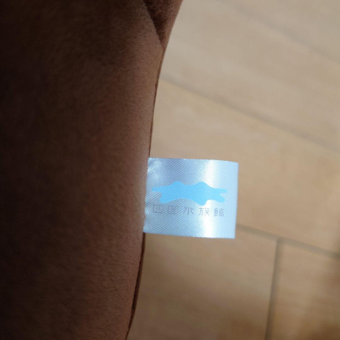 12/16まで限定価格！　四国水族館　カワウソくじ　ハッピーマリン　特賞　特等