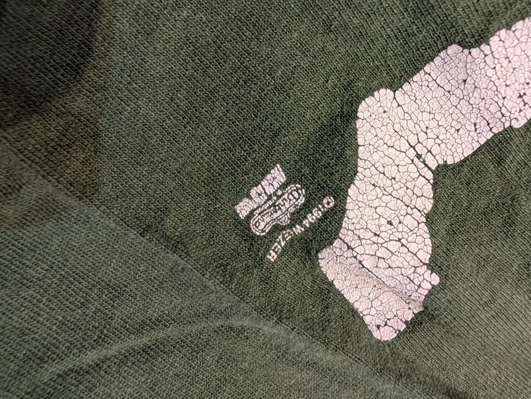 バンドTee WEEZER　90's サイズxl