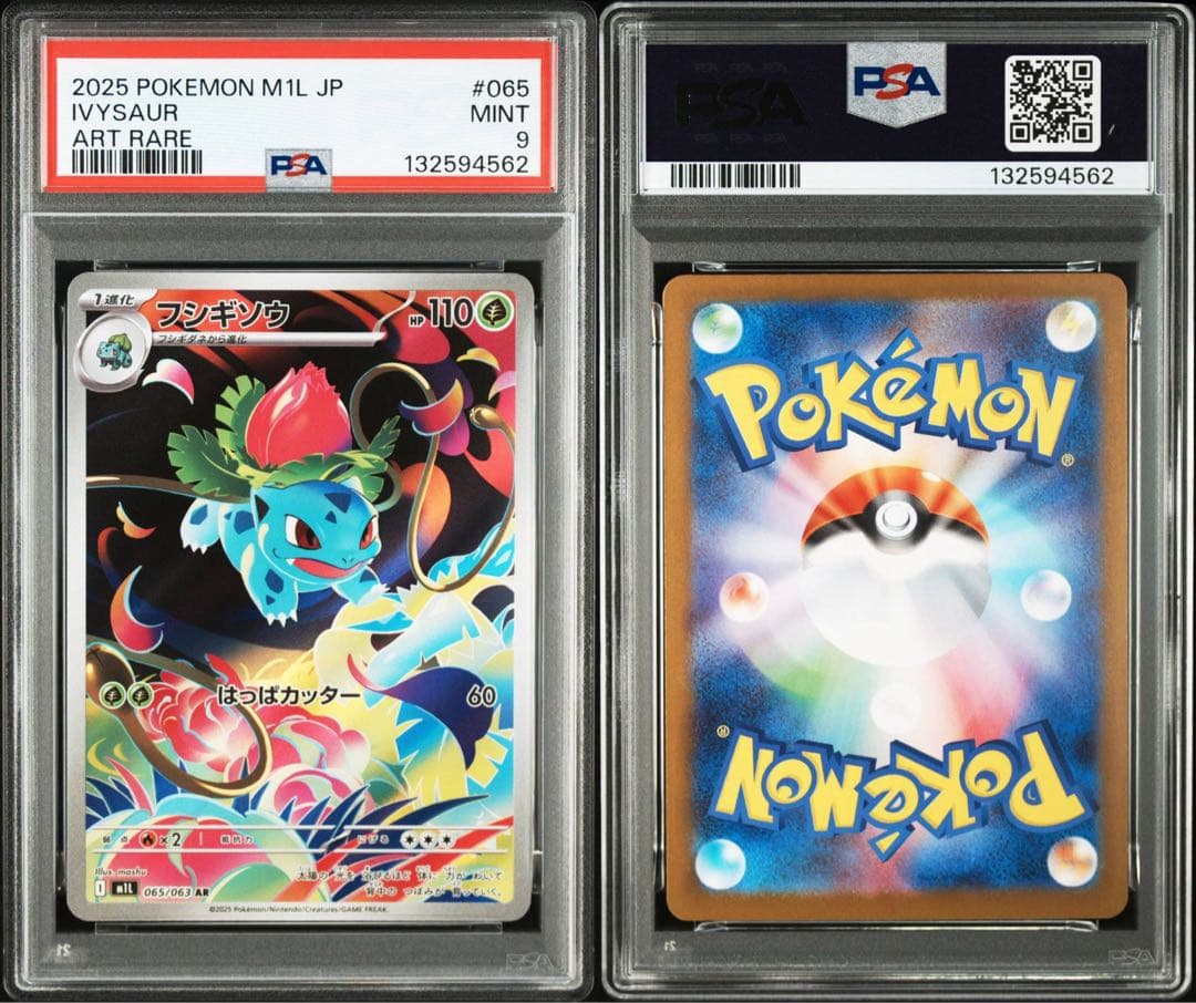 【連番】メガフシギバナex sa psa10