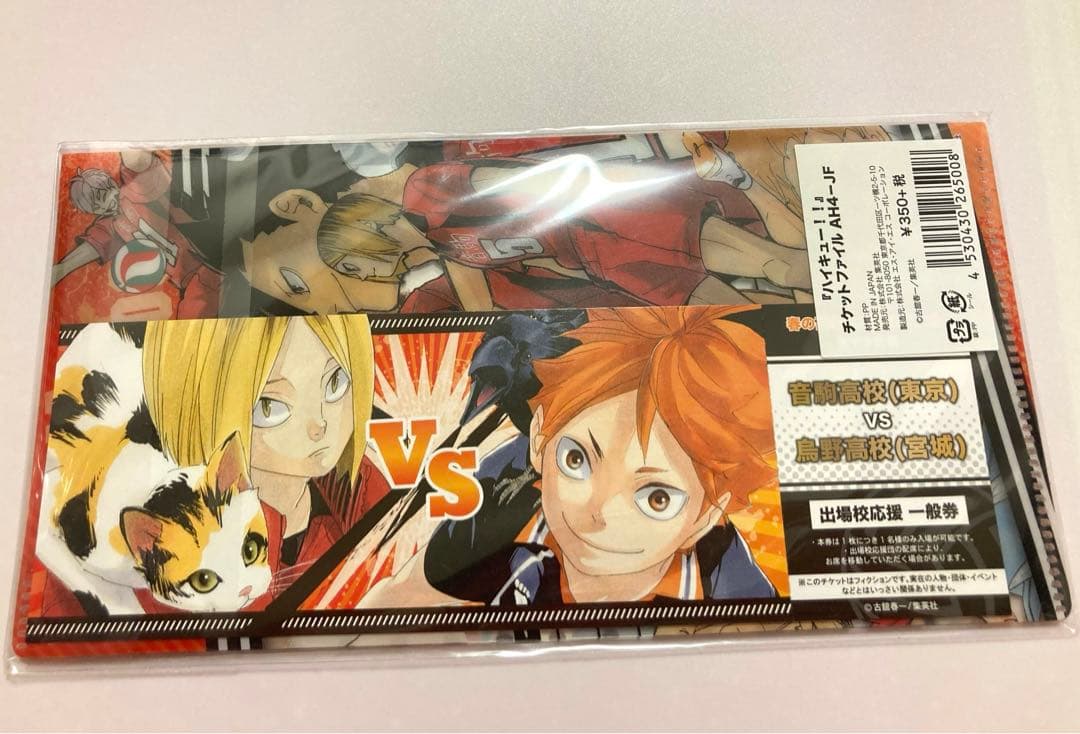 ハイキュー ゴミ捨て場の決戦 チケットファイル チケット付き 日向翔陽 孤爪研磨