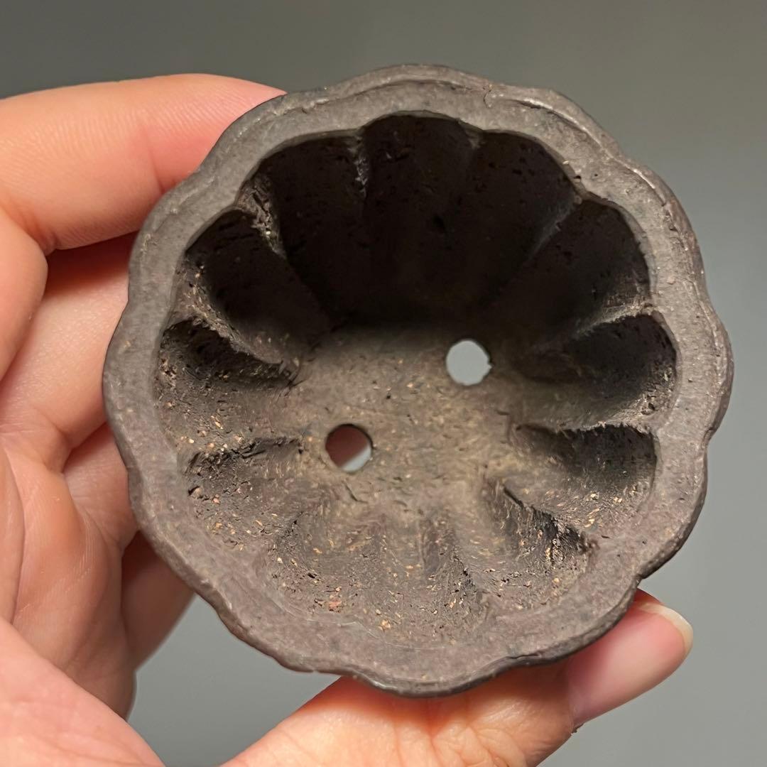 707.夢陶 紫泥輪花鉢 盆栽鉢 植木鉢 6.3*4.9cm