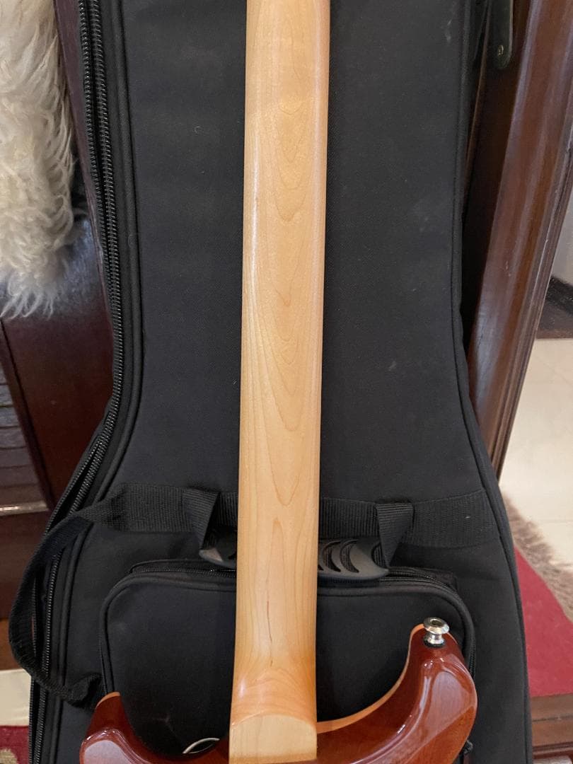 ギター PRS 2016 CE 24 Tampa Green