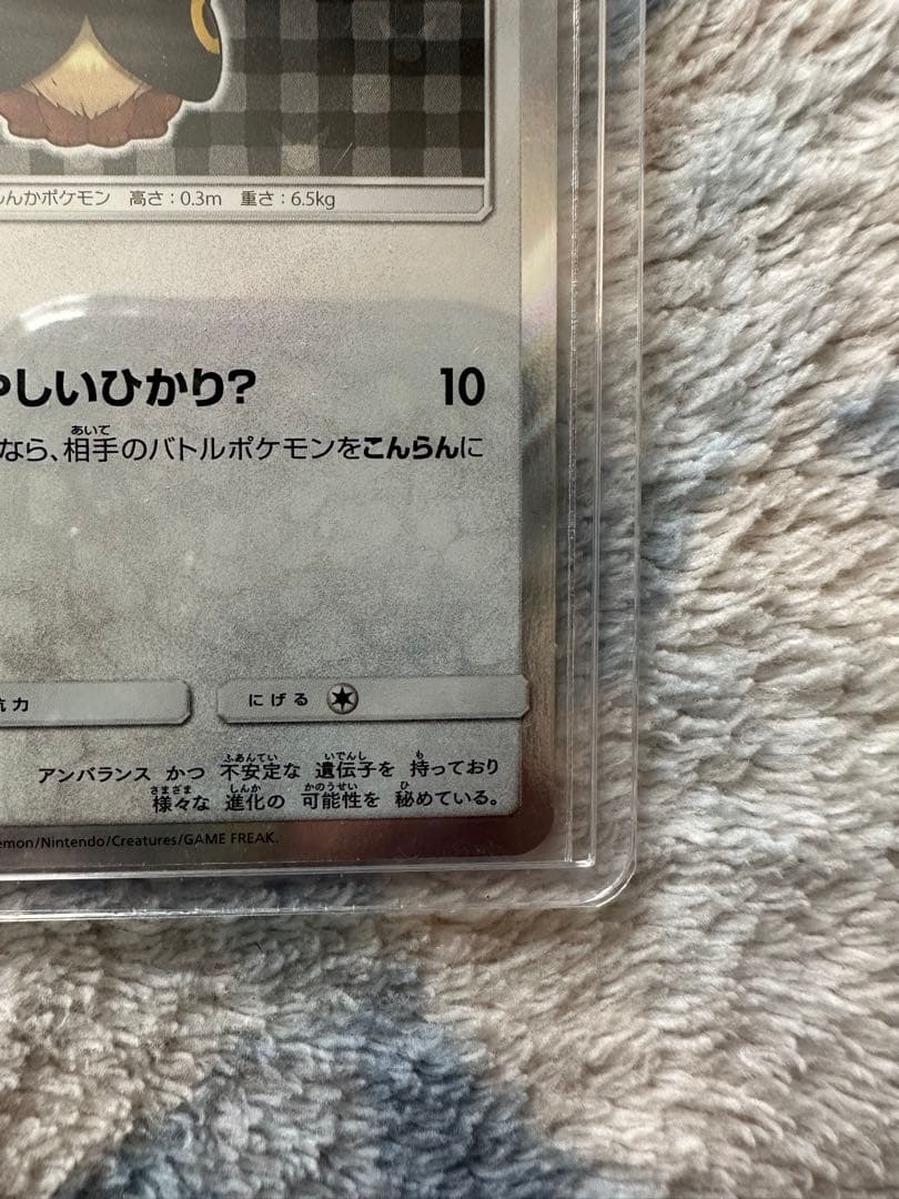 ポンチョを着たイーブイ（ブラッキー） PROMO SM-Pプロモカード