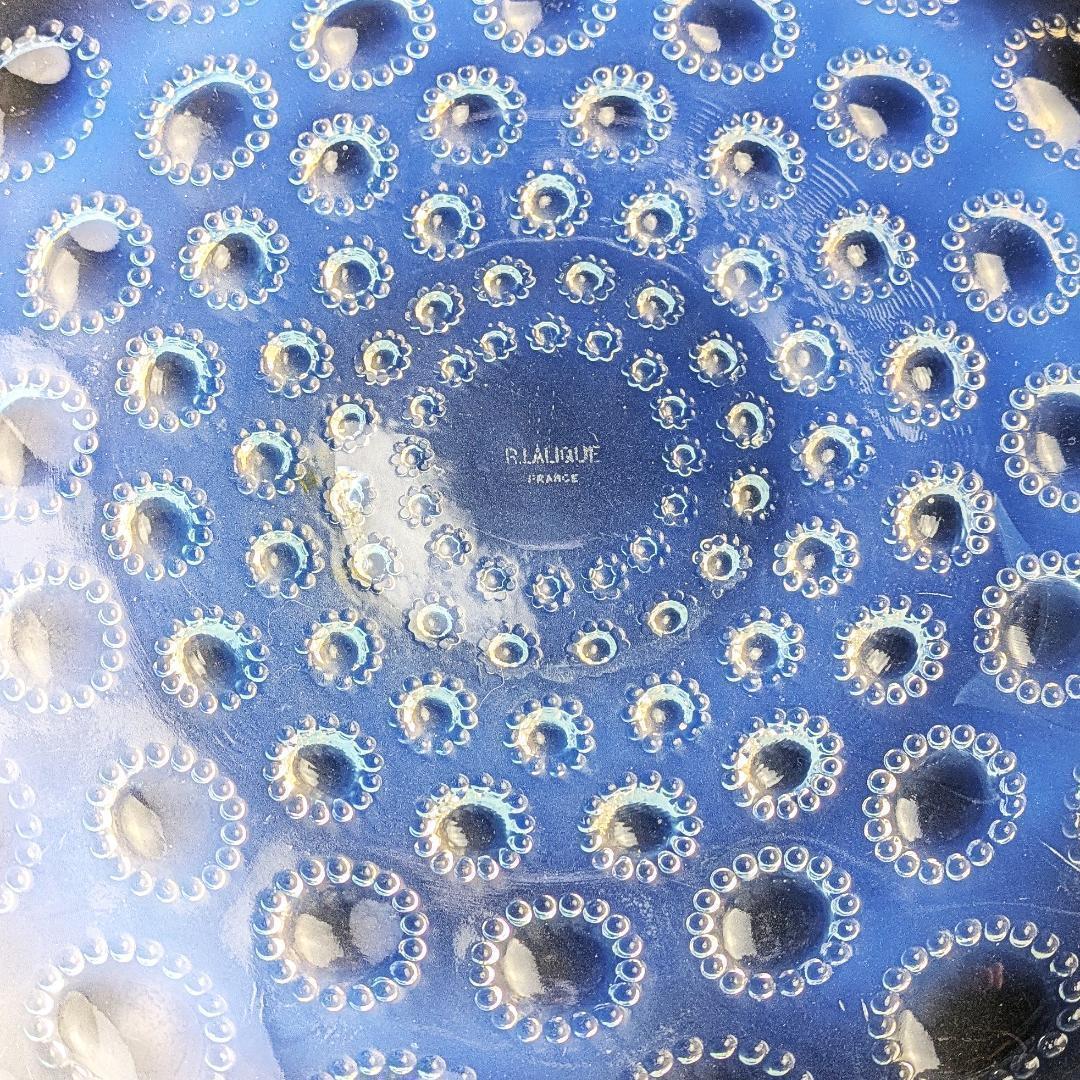 ルネ・ラリック アスター オパルセント大皿 27cm 1935頃 マルシャック