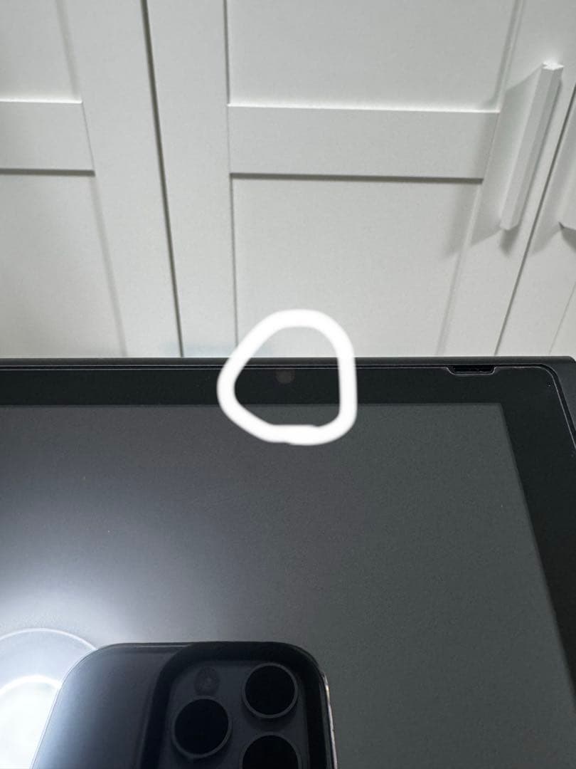 Nintendo Switch あつまれ どうぶつの森デザイン　ソフトなし