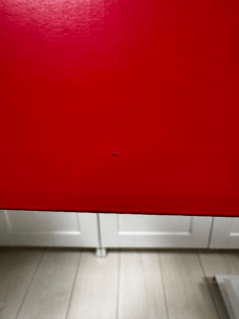 Nintendo Switch あつまれ どうぶつの森デザイン　ソフトなし