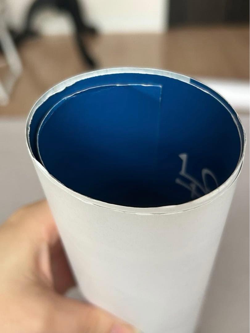 乃木坂46 直筆サイン入りポスター 何度目の青空か?当選通知コピー&おまけ付き