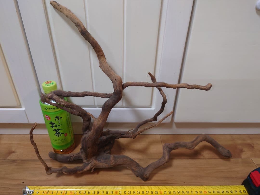 水槽用流木 自然な形状 約30cm〜50cm