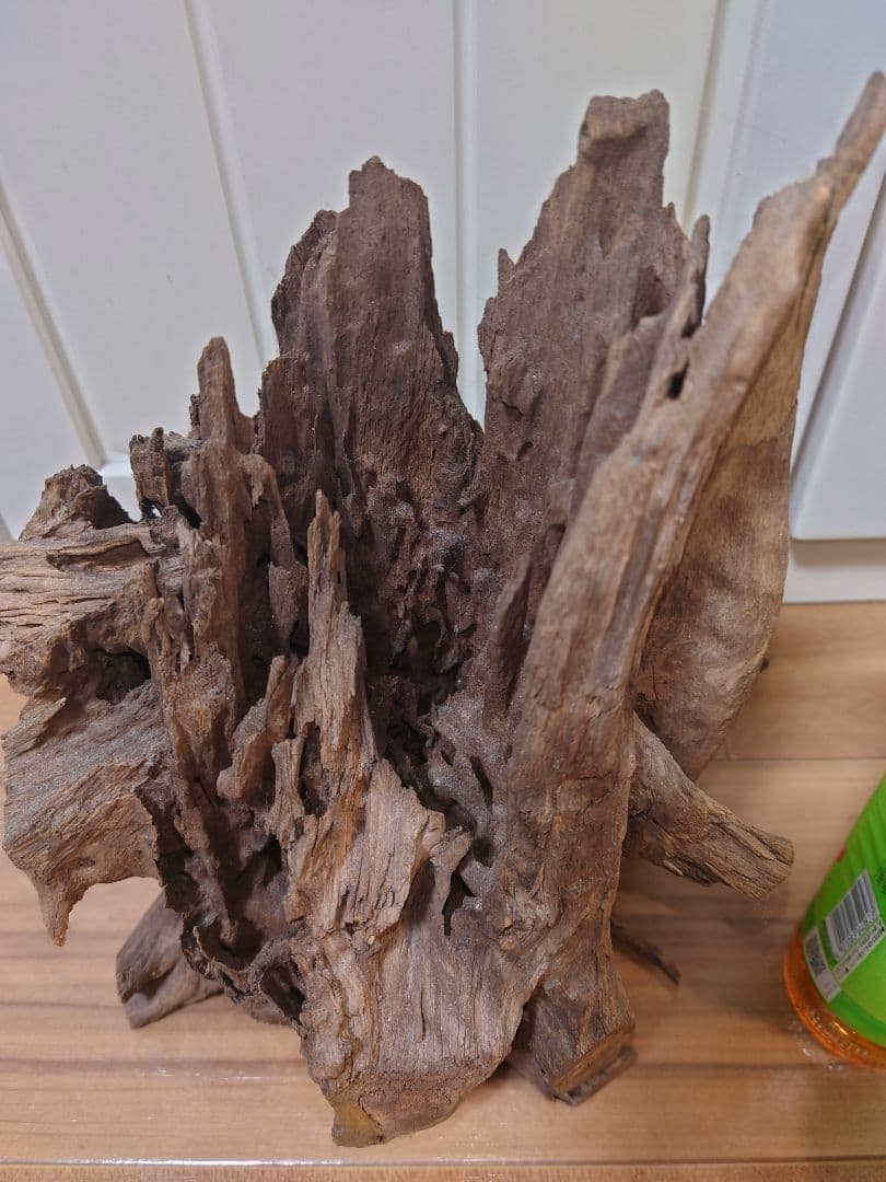 水槽用流木 自然な形状 約30cm〜50cm