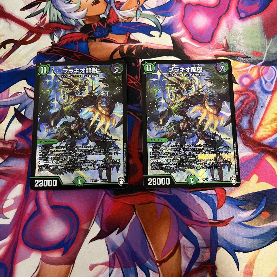 ブラキオ龍樹　2枚セット　即配送