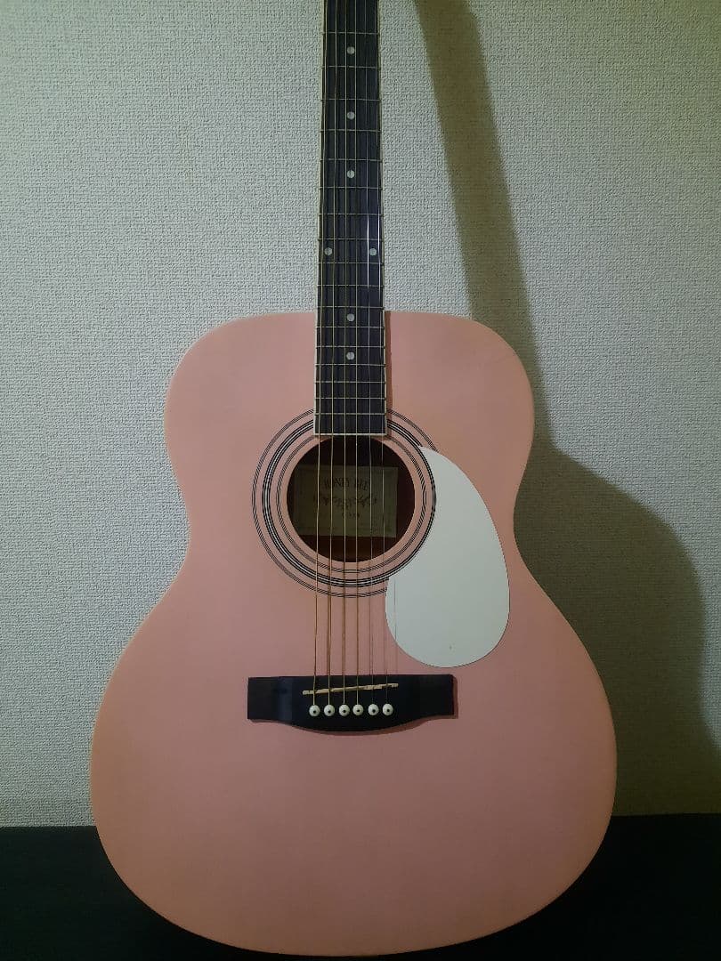 HONEY BEE アコースティックギター F-15 SKR