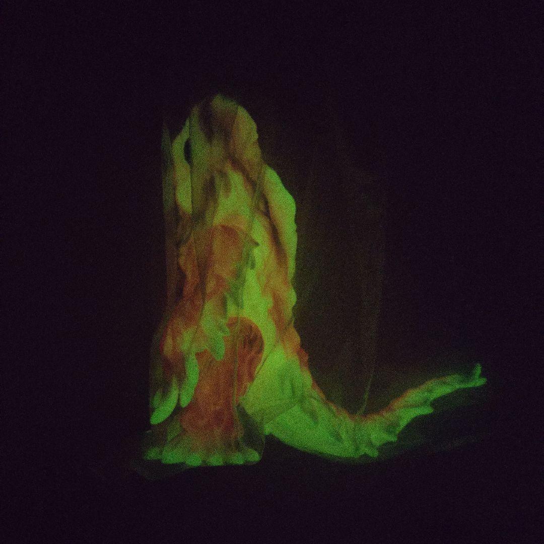 ヘドラ ソフビ 450 蓄光 マルサン 夜桜