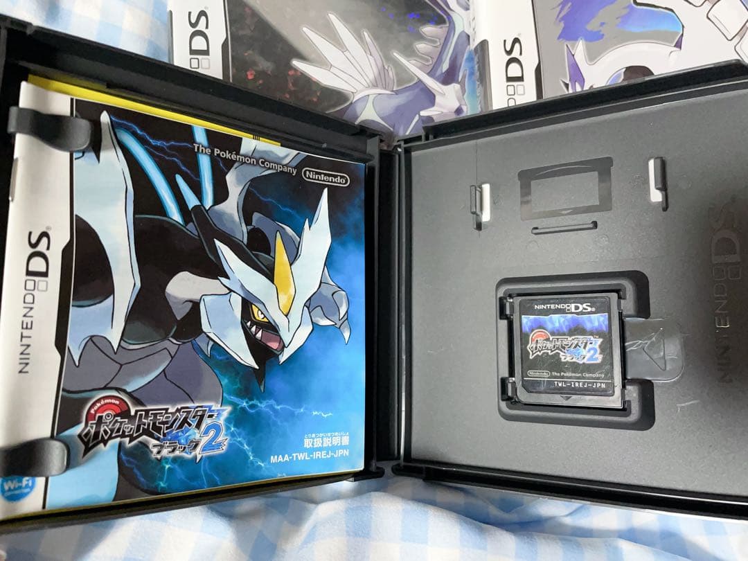 ポケットモンスター ポケモン　ソフト