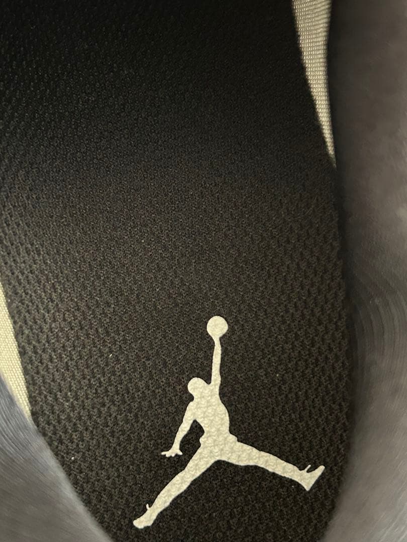 NIKE＊AIRJORDANTRAINER.G/AH7747-100/26㎝