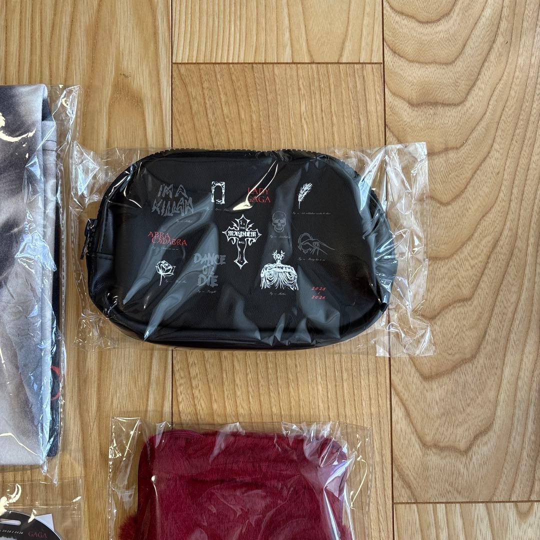 東京ドーム2026/1/29レディガガ　ライヴコンサートグッズ