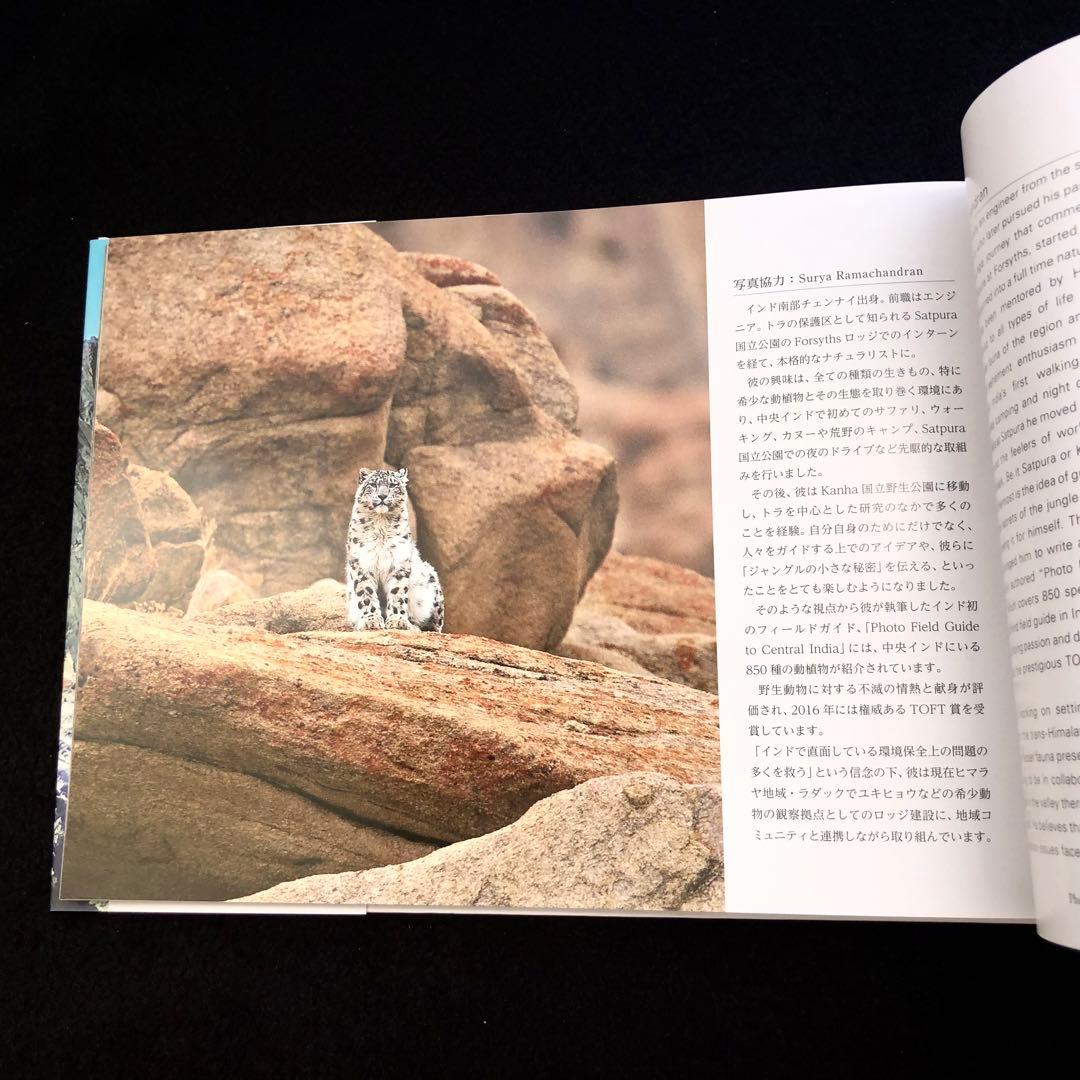 「神の獣 雪豹 - The Eidolon, Leopard」2019年