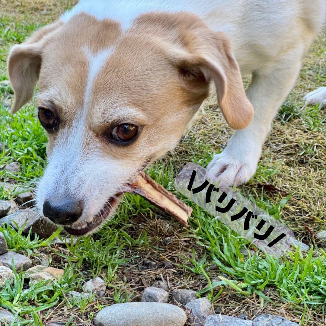 お得用‼️鹿あばらジャーキー 1kg 中小型犬向けサイズ 鹿肉ジャーキー
