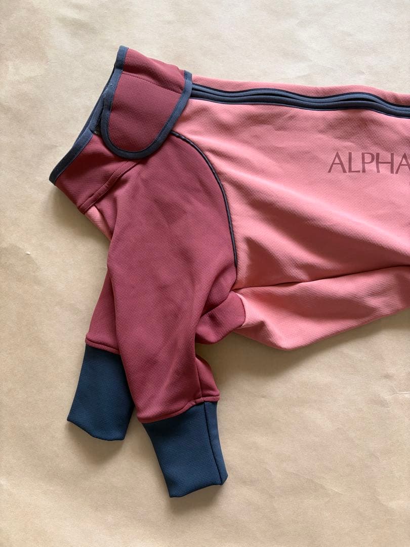 アルファアイコン　ダブルドッグガード3L 男の子用　美品　ピンク系