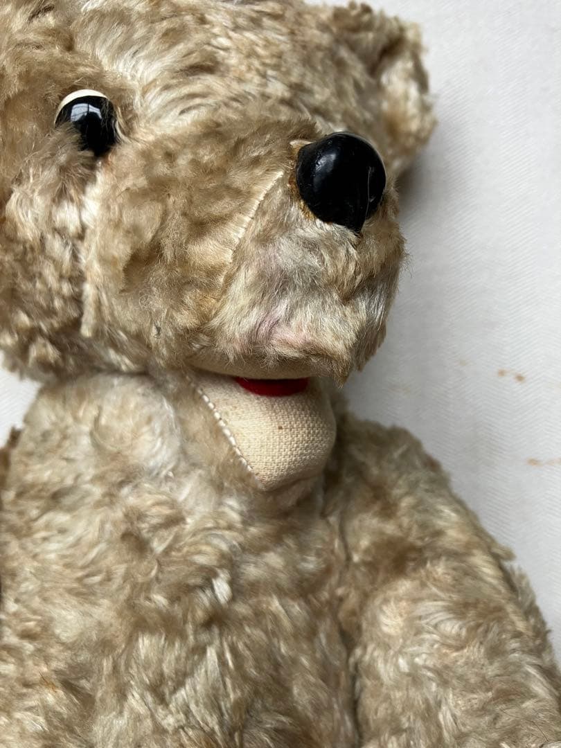 スロベニアの蚤の市に転がっていたテディベア スロヴェニア アンティーク