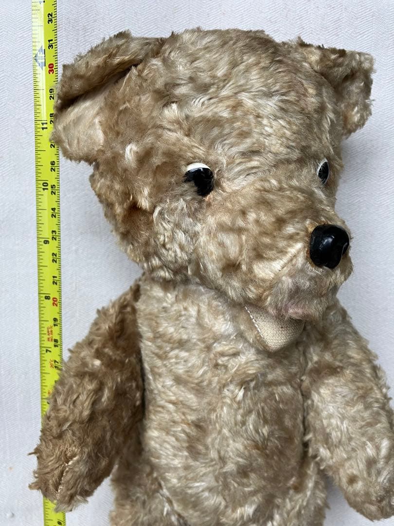 スロベニアの蚤の市に転がっていたテディベア スロヴェニア アンティーク