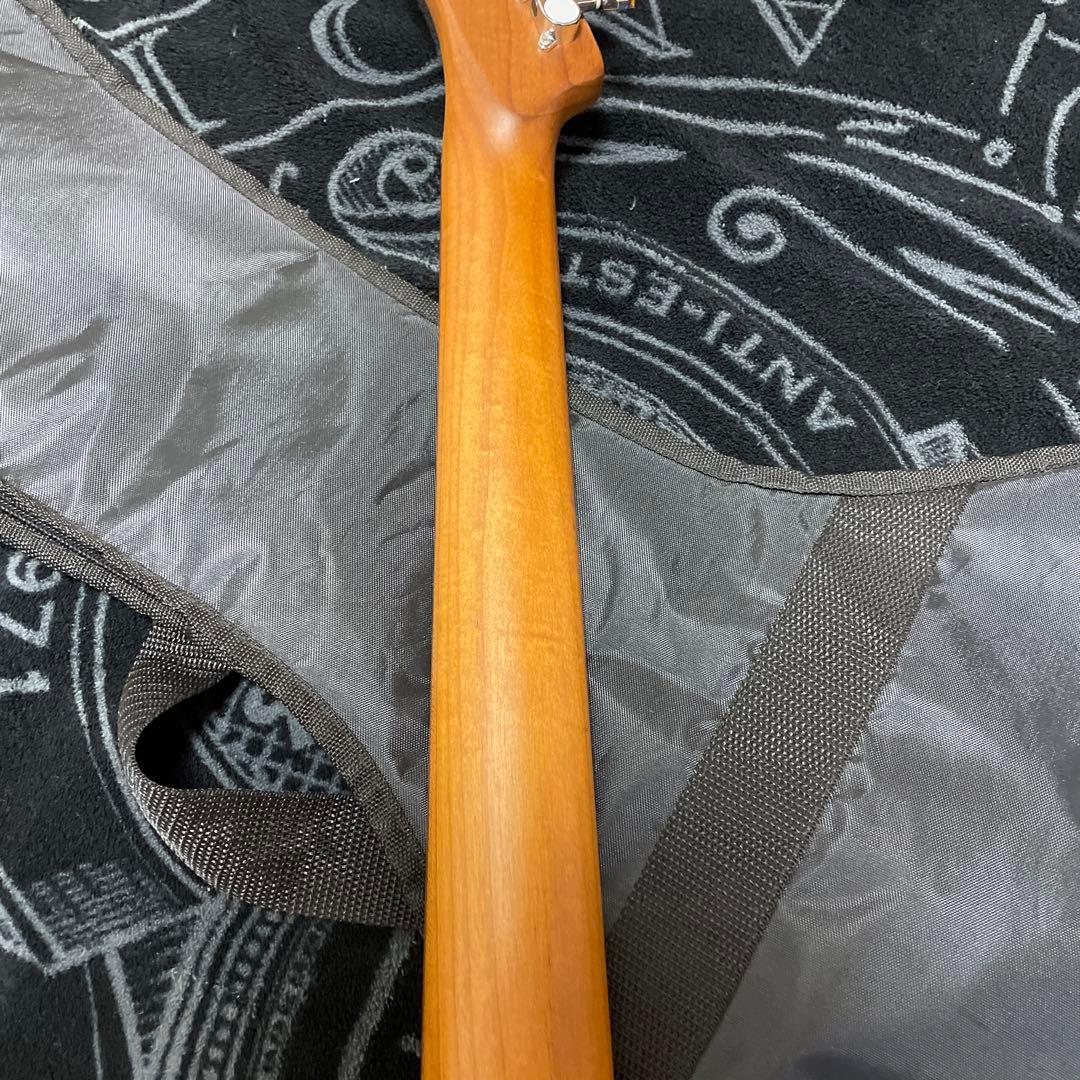 ギター Bacchus Universe Series / BTE-2-RSM/M