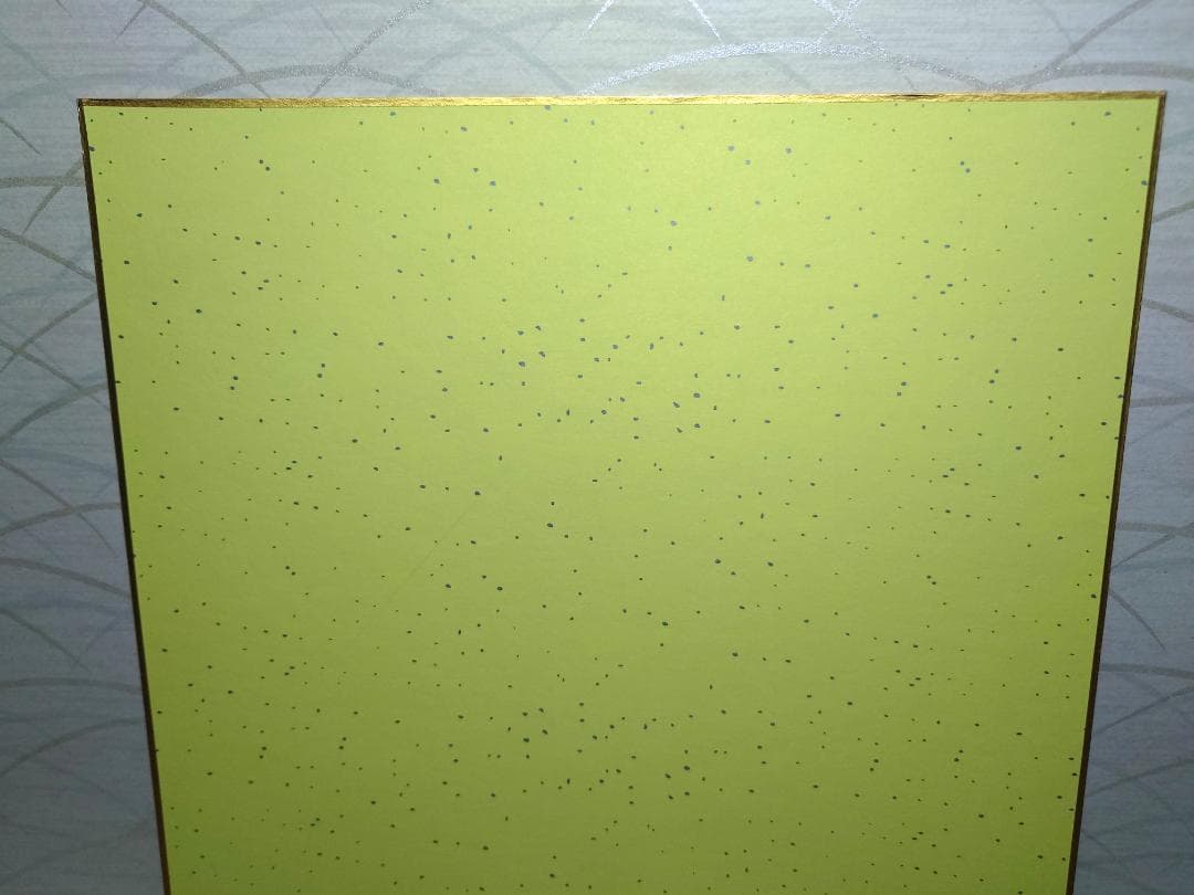 美品　色紙直筆サイン入り　ZARD　坂井泉水　額付き　写真3枚セット