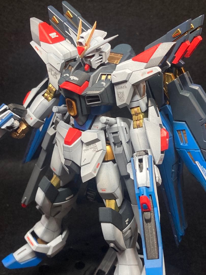 HG ストライクフリーダム弍式　塗装済　完成品