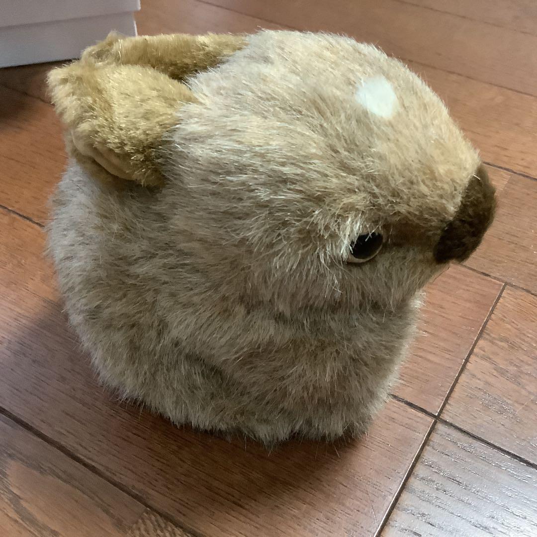 やまね工房　キツネ、エゾリス、モモンガ、やまね、野うさぎのぬいぐるみセット