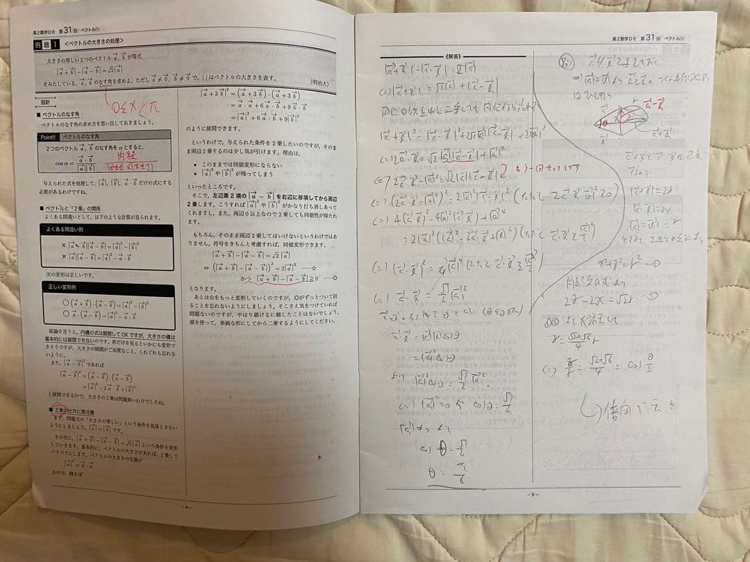 鉄緑会 高２数学1A2B 2018年度版