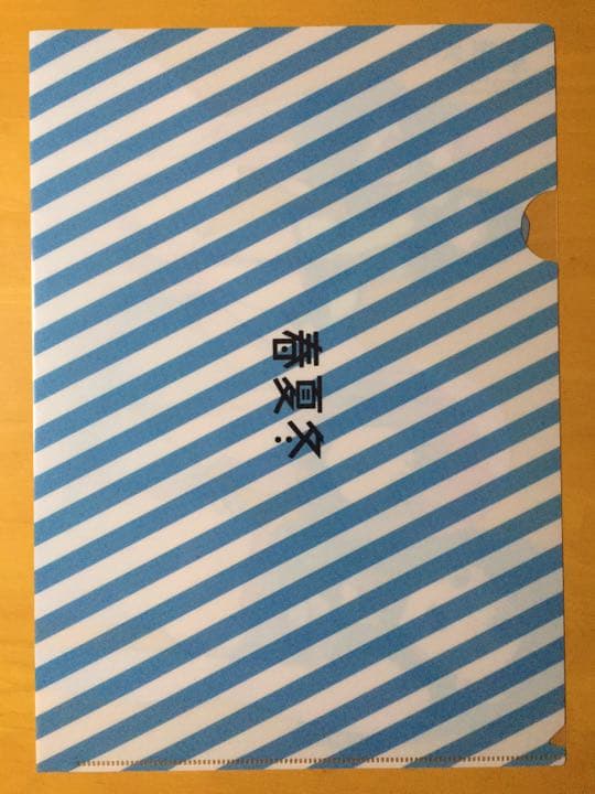 A4クリアファイル 春夏冬ゆう R.I.P SSSS.GRIDMAN