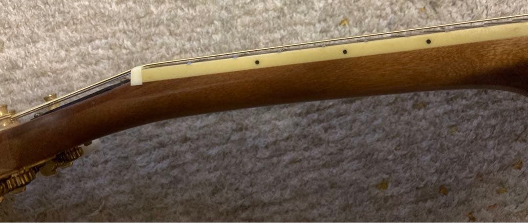 Blanton BM-25F マンドリン