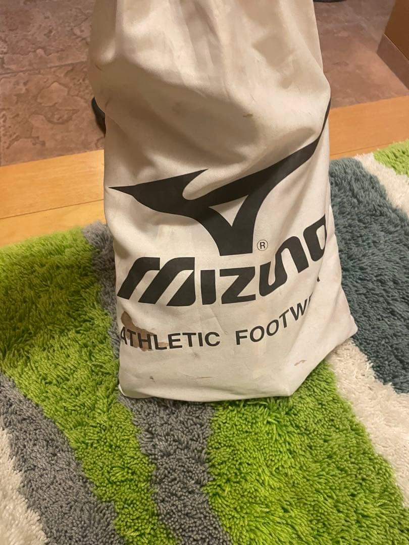 フランスワールドカップ時森島寛晃サイン入りスパイク(本人使用)