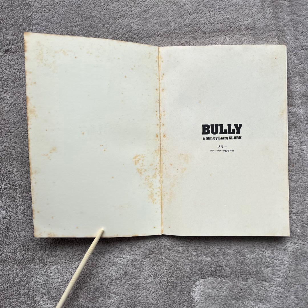 希少 Larry Clark 映画 BULLY パンフレット DVD セット