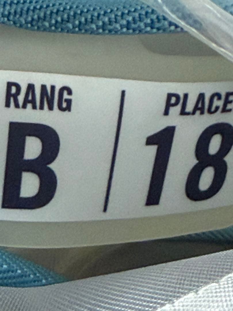 【希少】Helinox×ルーブル美術館 限定コラボ ルーブルチェア Rang B