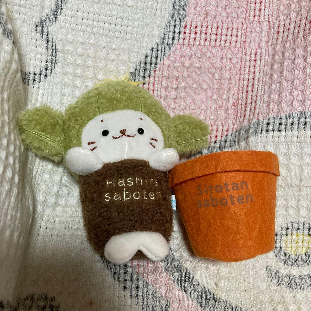 クリエイティブ　ヨーコ　しろたん　ぬいぐるみ＆ボールチェーンマスコット色々セット