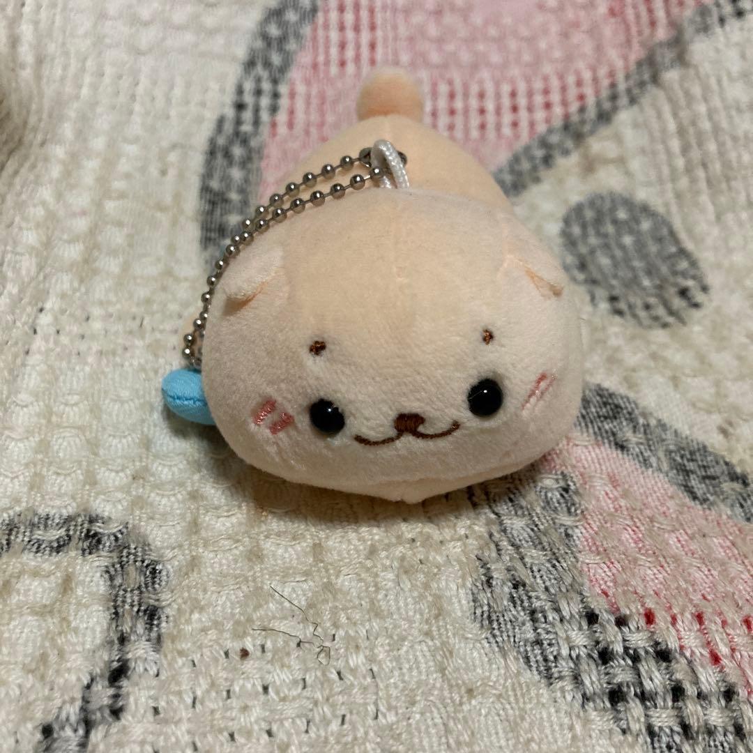 クリエイティブ　ヨーコ　しろたん　ぬいぐるみ＆ボールチェーンマスコット色々セット