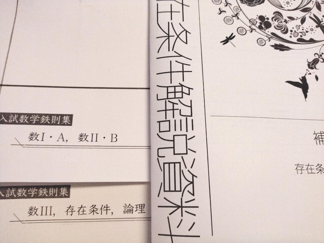 鉄緑会の森嶋先生による入試数学鉄則集と存在条件資料セット　最新　河合塾　駿台