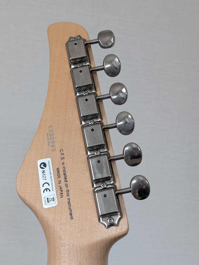 フジゲン Expert ODYSSEY EOS-ASH-M/SBB 中古