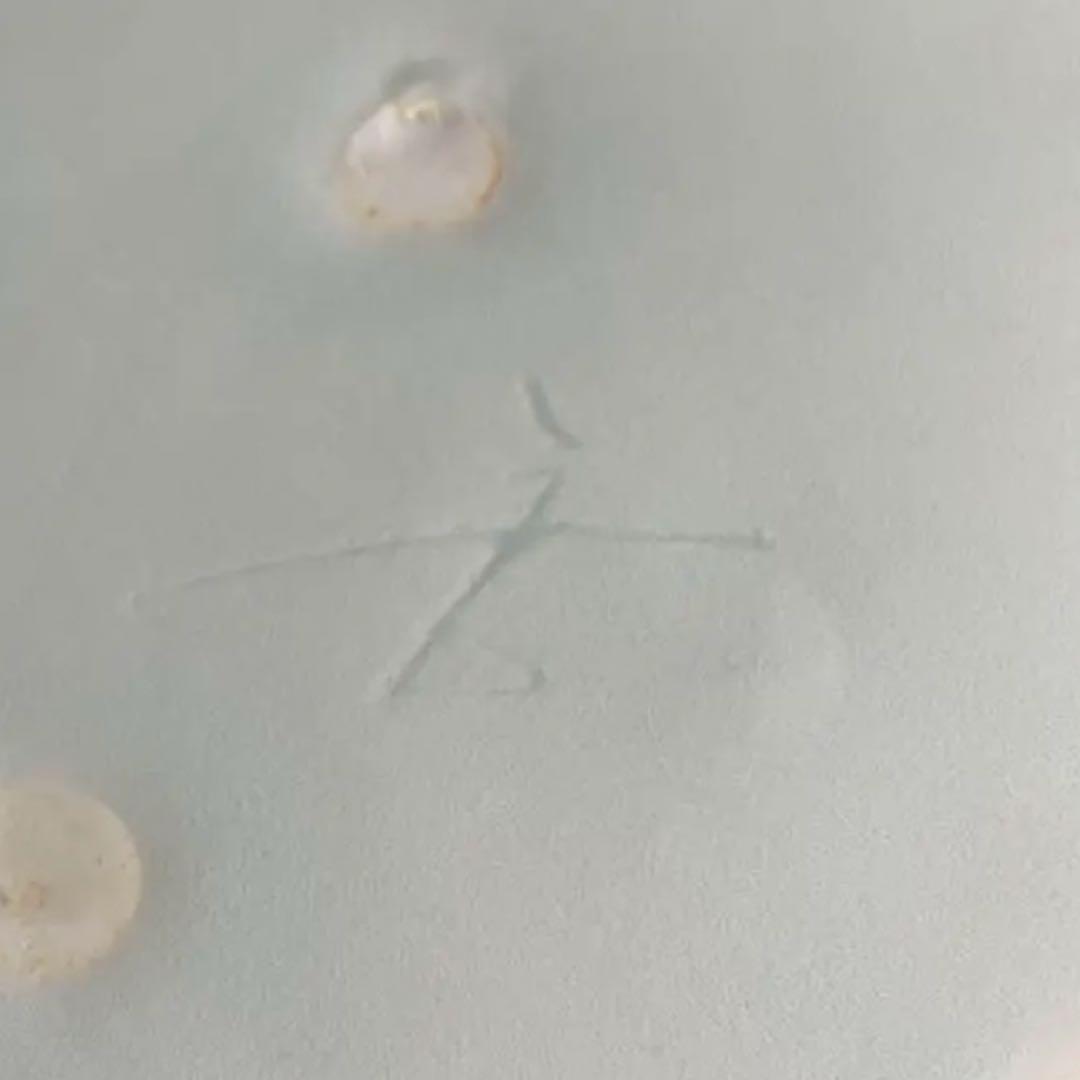 吉川正道　染付線紋銅鑼鉢