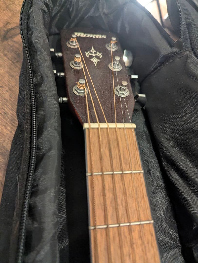 Morris アコースティックギター M-351 NAT