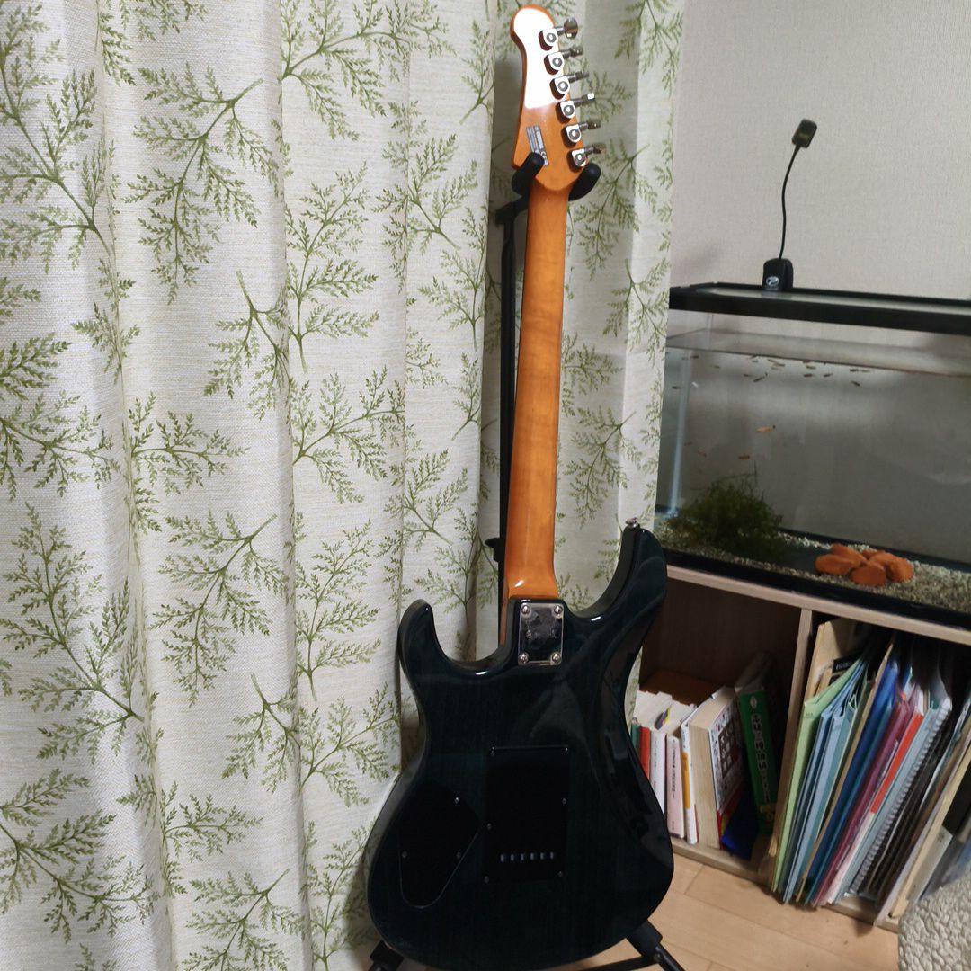 PACIFICA PAC612VIIFM(ソフトケース付