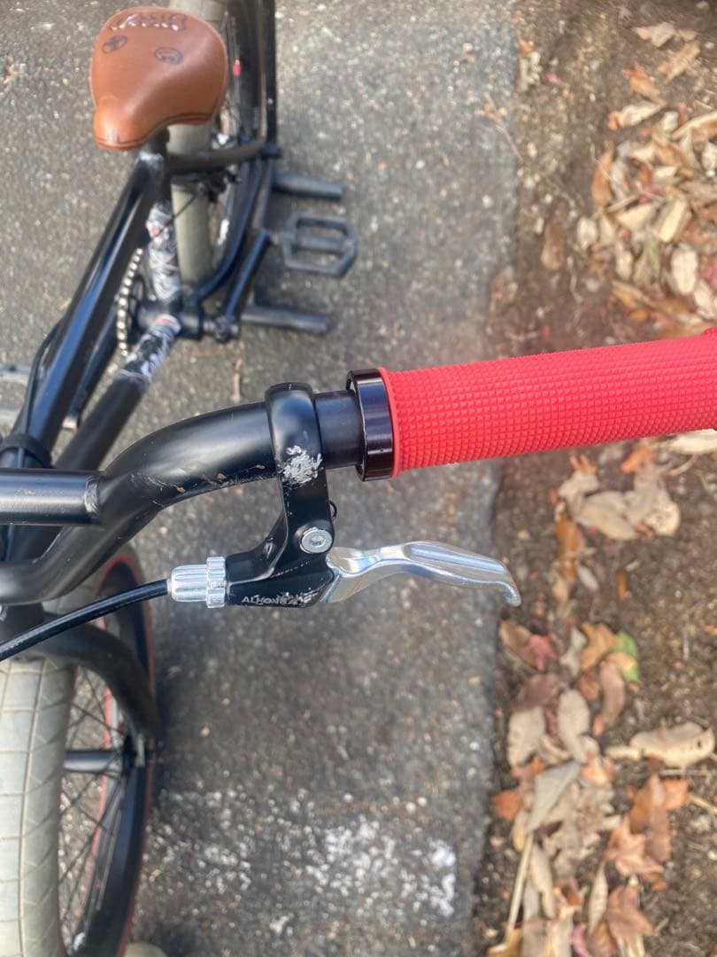 BMX FLY bikes NOVA18インチ